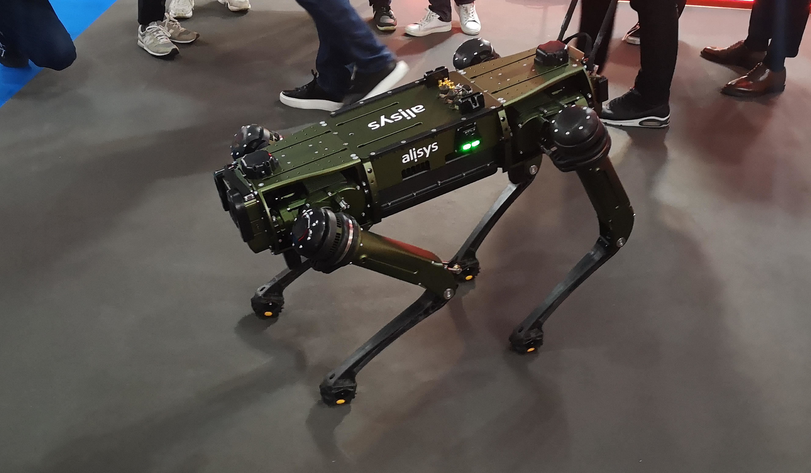image robot chien